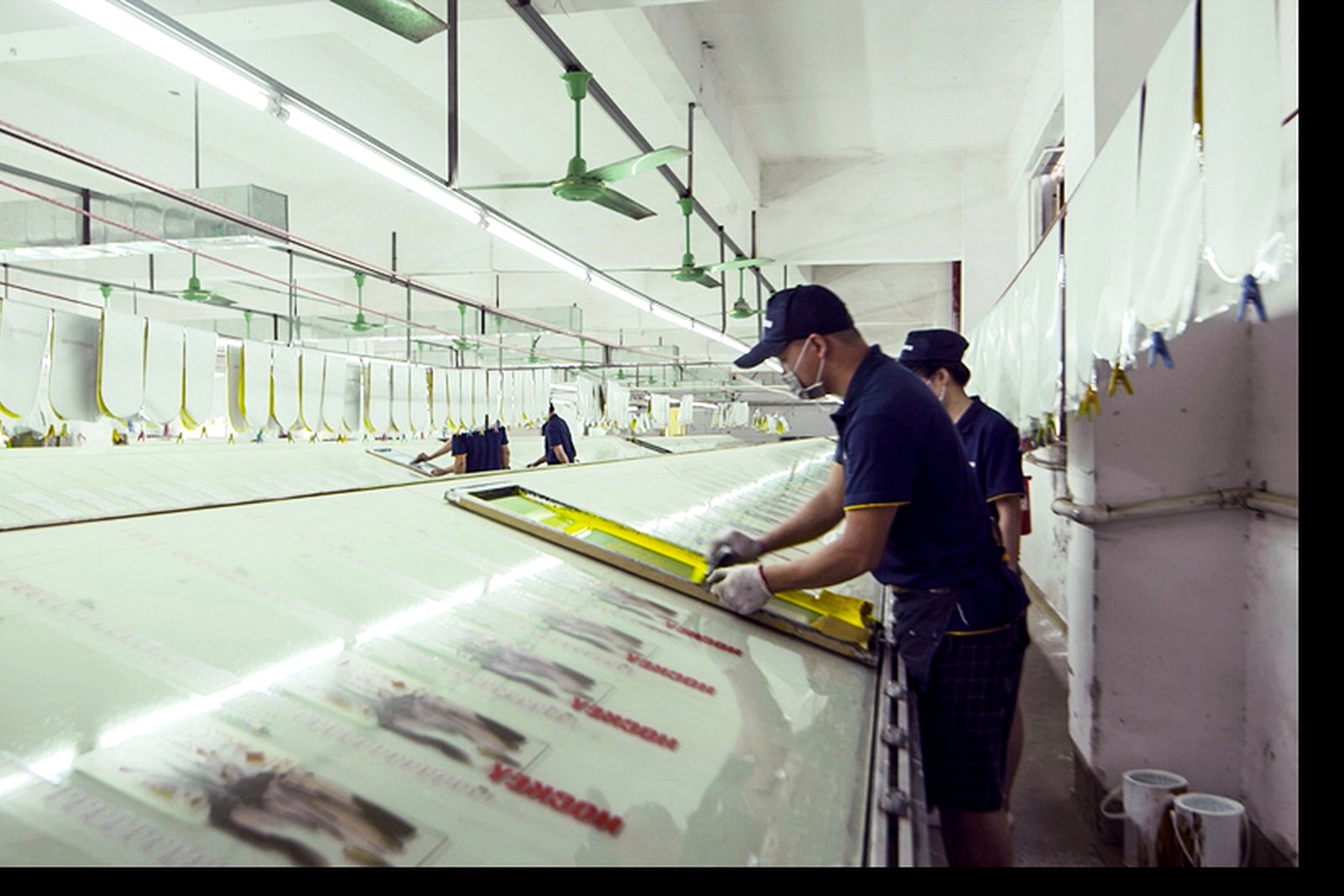 Printing and finishing line